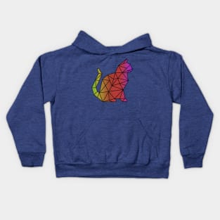 Rainbow Geometric Cat Kids Hoodie